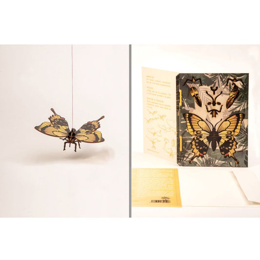 Carte de Vœux Déco 3D Papillon formes Berlin