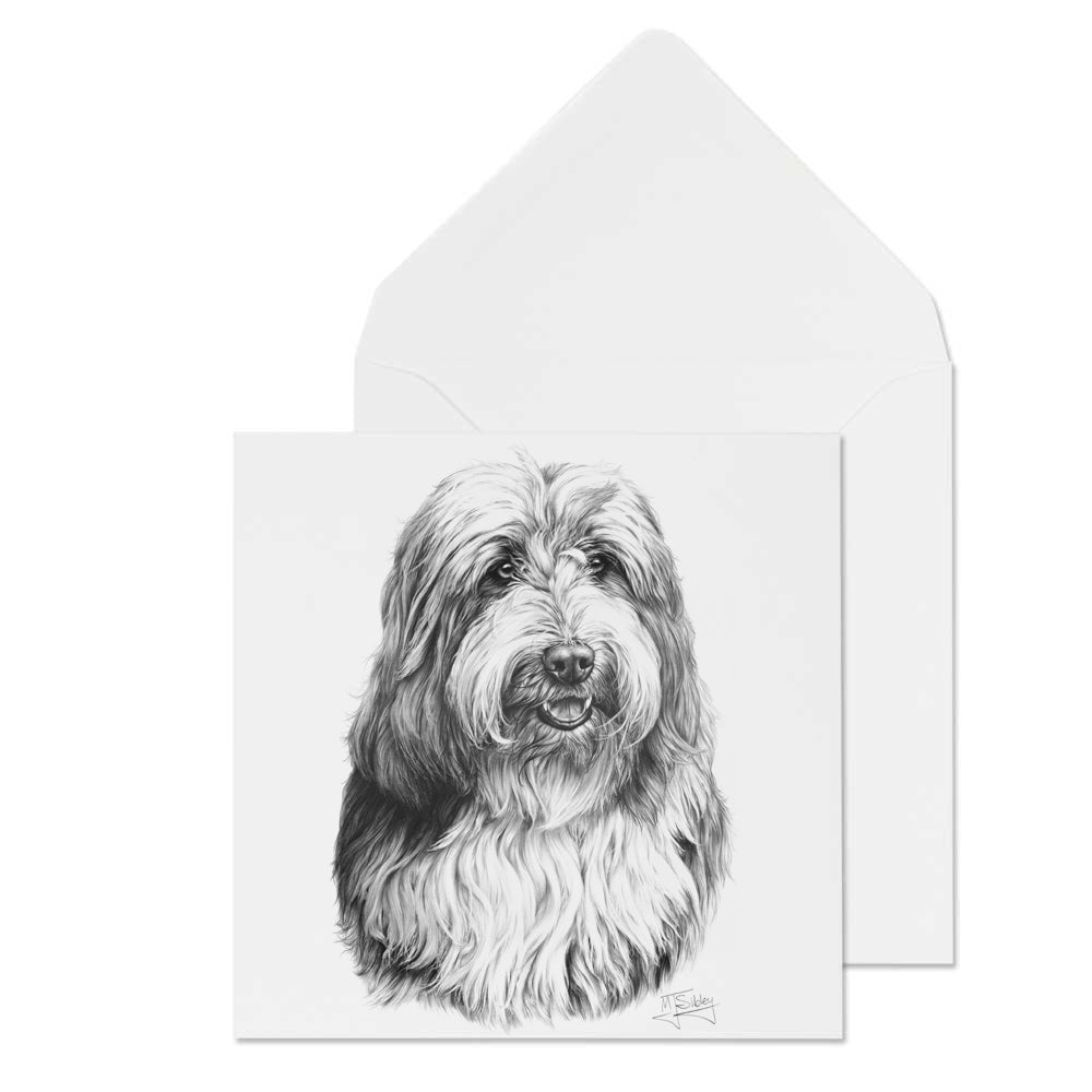 Carte de Vœux Mike Sibley Bearded Collie C&S Products